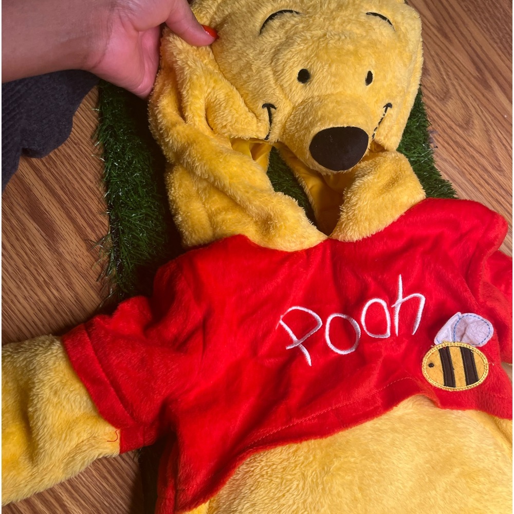 Winnie the Pooh bear Costume